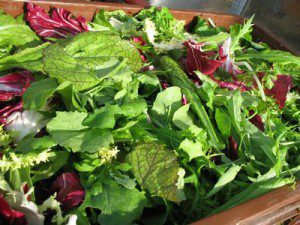salade mélangée