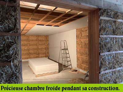 chambre froide legumes